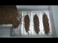 เครื่องบรรจุลูกเกดราคาโรงงาน, เครื่องบรรจุถั่ว, เครื่องบรรจุวันที่สีแดงแห้ง