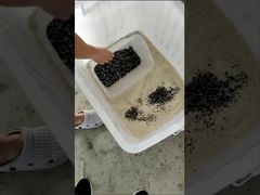 ชม: เครื่องคัดแยกสี LC-M4H Grain Color Sorter เครื่องคัดแยกสีแร่ธาตุ CCD Showcase