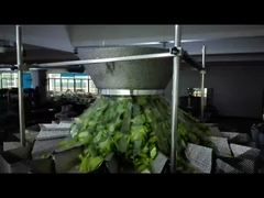 ดูว่าทำไมต้องเลือกเครื่องบรรจุถุงสำเร็จรูปเมล็ดฟักทอง เครื่องชั่งและบรรจุถุงซิป